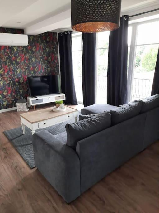 Superbe Appartement Climatise Au Centre Ville 777 Brazey-en-Plaine Bagian luar foto